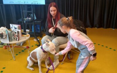 1. a na festivalu slikovnice “Ovca u kutiji”